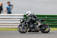 Middle Group Black Bikes